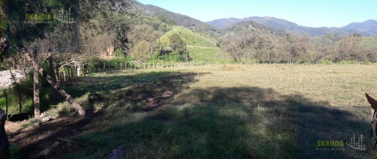 Foto de terreno comercial en venta en  , el refugio, acatic, jalisco, 7762346 No. 04