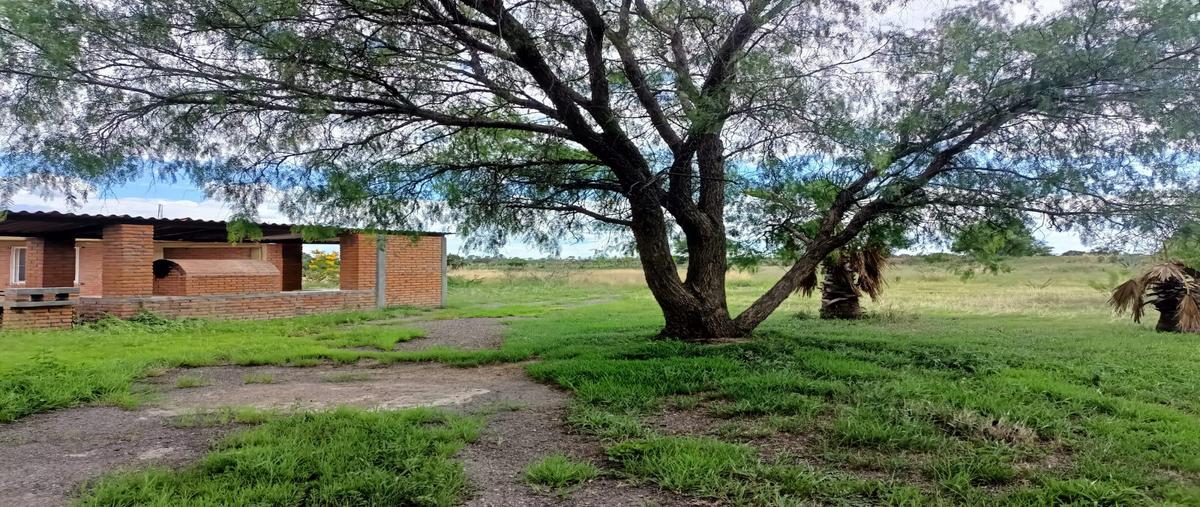 Foto de rancho en , el refugio de peñuelas, aguascalientes, aguascalientes, 0 foto 05 Foto de rancho en venta en , el refugio de peñuelas, aguascalientes, aguascalientes, 0 No. 05