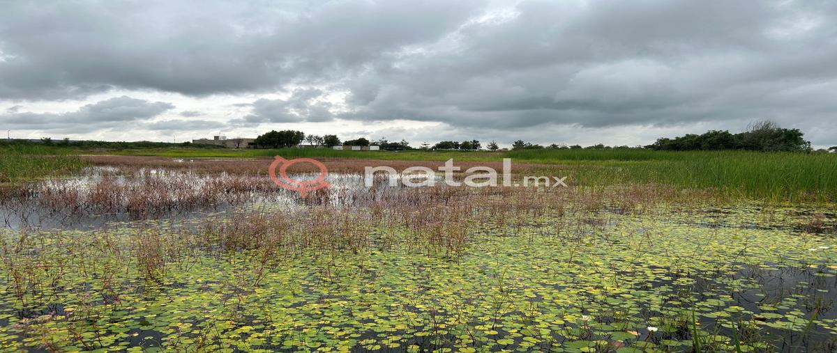 Foto de terreno habitacional en venta en  , el refugio, lagos de moreno, jalisco, 30340323 No. 05