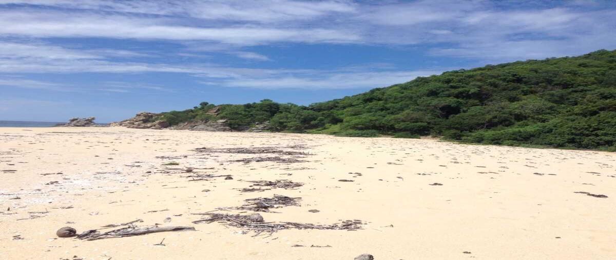 Foto de terreno habitacional en venta en  , el refugio suchitlán (la congregación), cabo corrientes, jalisco, 0 No. 03