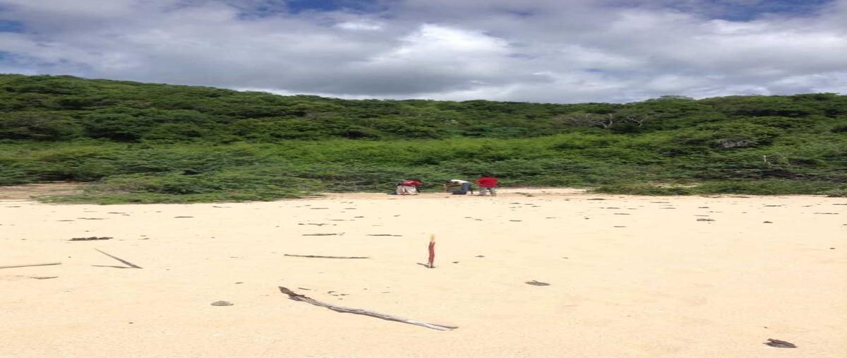 Foto de terreno habitacional en venta en  , el refugio suchitlán (la congregación), cabo corrientes, jalisco, 0 No. 05