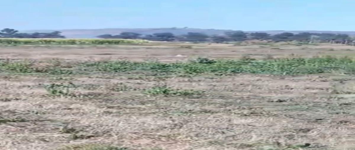 Foto de terreno industrial en venta en  , el refugio, tala, jalisco, 27116053 No. 05