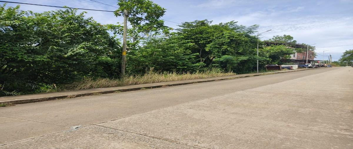 Foto de terreno habitacional en , el relicario, huixtla, chiapas, 26089807 foto 03 Foto de terreno habitacional en venta en , el relicario, huixtla, chiapas, 26089807 No. 03