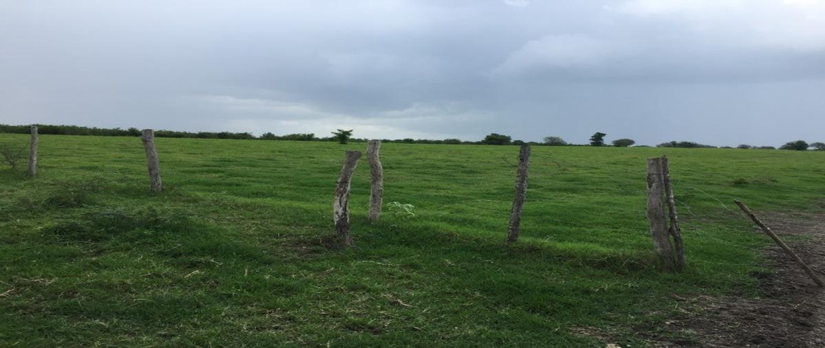 Foto de rancho en el remanso huasteco , tanjuco, pánuco, veracruz de ignacio de la llave, 28622762 foto 01 Foto de rancho en venta en el remanso huasteco , tanjuco, pánuco, veracruz de ignacio de la llave, 28622762 No. 01