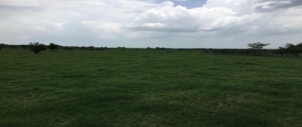 Foto de rancho en el remanso huasteco , tanjuco, pánuco, veracruz de ignacio de la llave, 28622762 foto 02 Foto de rancho en venta en el remanso huasteco , tanjuco, pánuco, veracruz de ignacio de la llave, 28622762 No. 02