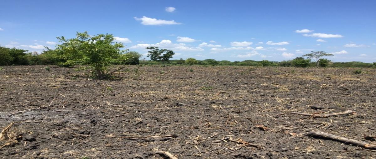 Foto de rancho en el remanso huasteco , tanjuco, pánuco, veracruz de ignacio de la llave, 28622762 foto 03 Foto de rancho en venta en el remanso huasteco , tanjuco, pánuco, veracruz de ignacio de la llave, 28622762 No. 03