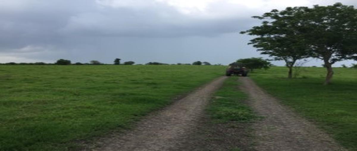 Foto de rancho en el remanso huasteco , tanjuco, pánuco, veracruz de ignacio de la llave, 28622762 foto 04 Foto de rancho en venta en el remanso huasteco , tanjuco, pánuco, veracruz de ignacio de la llave, 28622762 No. 04