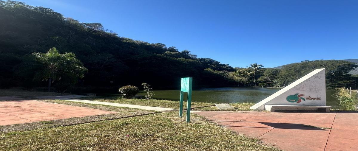 Foto de terreno habitacional en venta en  , el remate, comala, colima, 29289985 No. 03