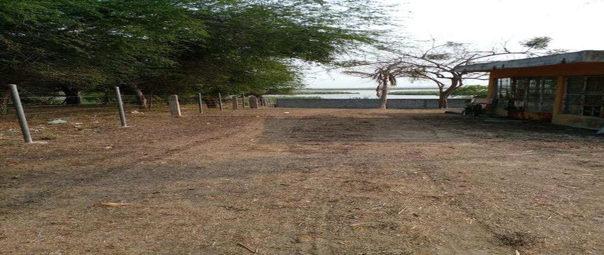 Foto de terreno habitacional en venta en  , el repecho, altamira, tamaulipas, 20461222 No. 04