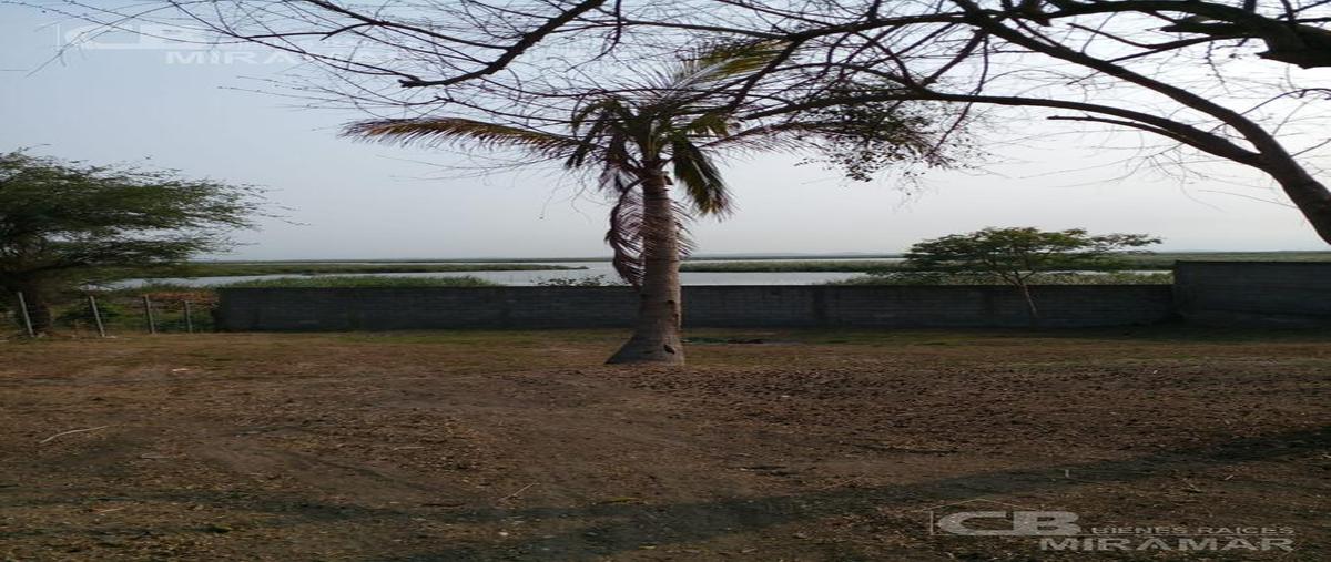 Foto de terreno habitacional en venta en  , el repecho, altamira, tamaulipas, 20461222 No. 05