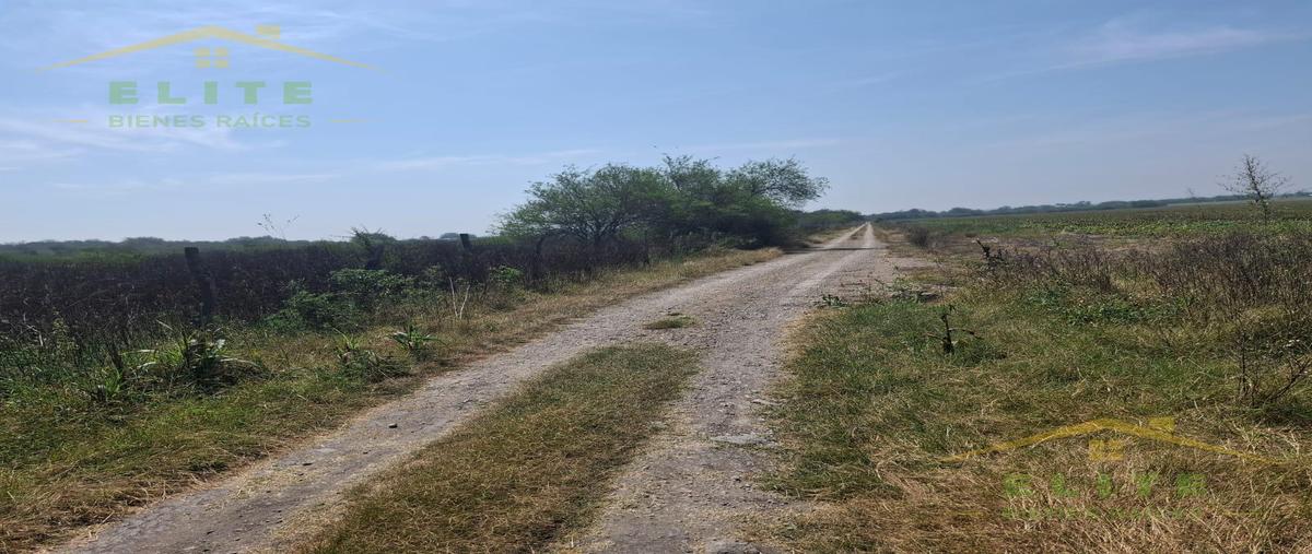 Foto de terreno habitacional en venta en  , el repecho, altamira, tamaulipas, 0 No. 04