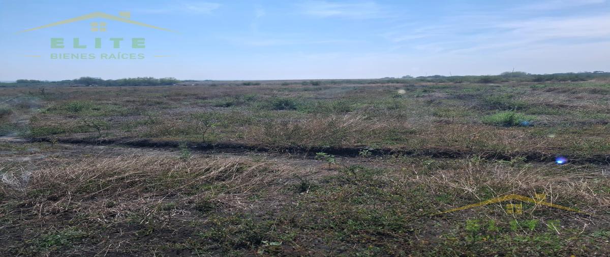 Foto de terreno habitacional en venta en  , el repecho, altamira, tamaulipas, 0 No. 05