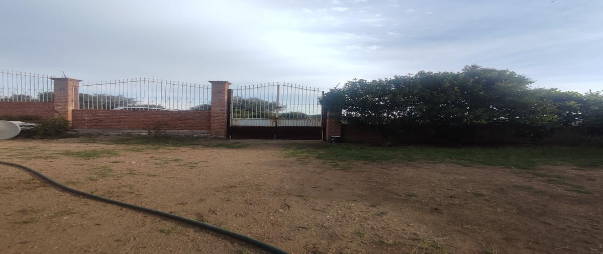 Foto de rancho en venta en  , el retoño, el llano, aguascalientes, 27429310 No. 03