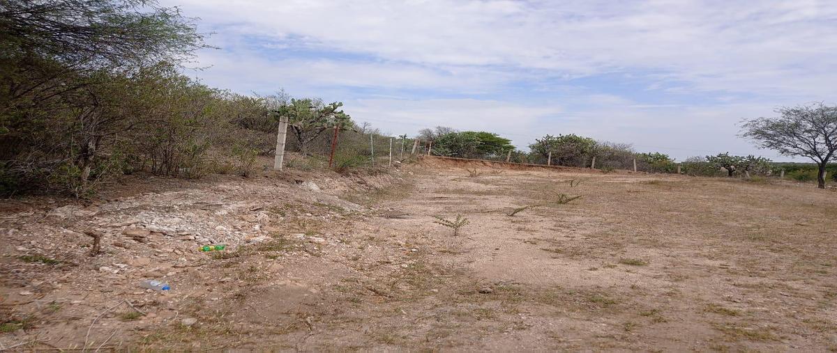 Foto de terreno habitacional en , el retoño, el llano, aguascalientes, 0 foto 04 Foto de terreno habitacional en venta en , el retoño, el llano, aguascalientes, 0 No. 04