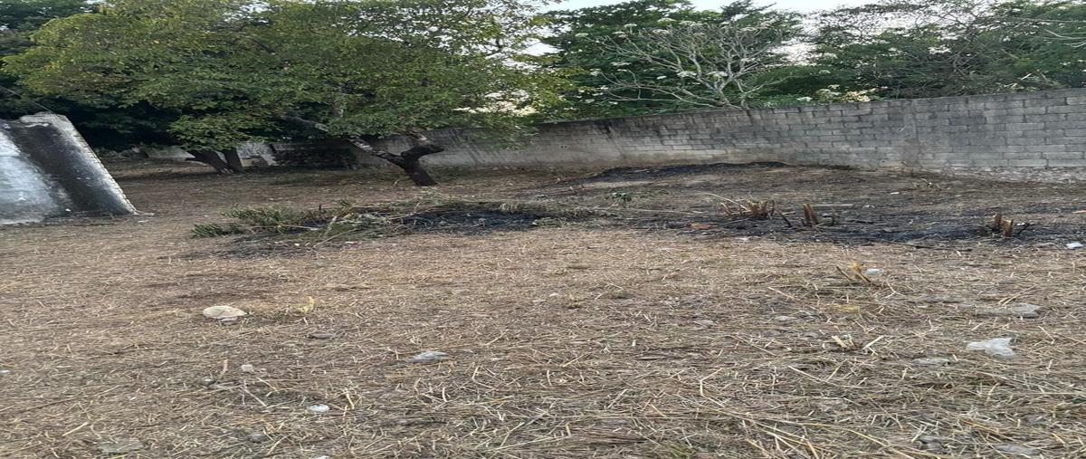 Foto de terreno habitacional en venta en  , el roble agrícola, mérida, yucatán, 29917066 No. 04