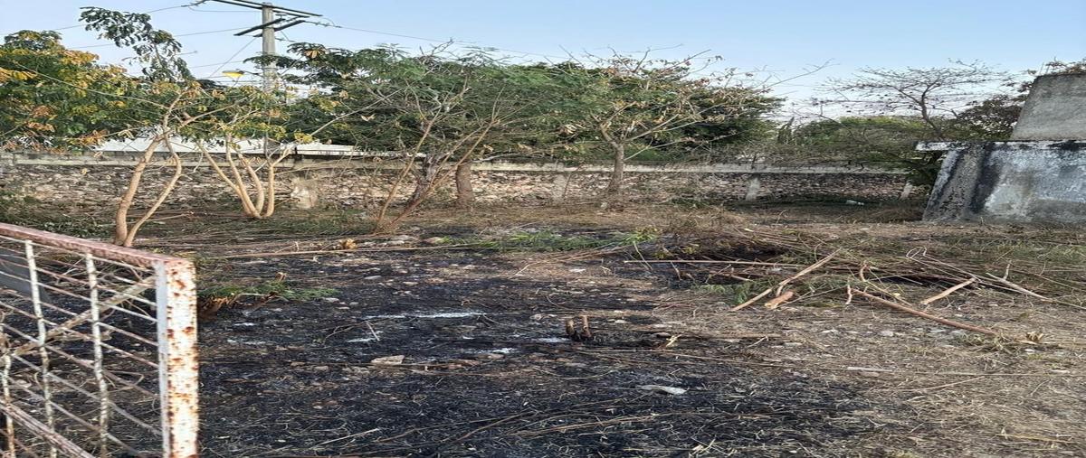 Foto de terreno habitacional en venta en  , el roble agrícola, mérida, yucatán, 29917066 No. 05