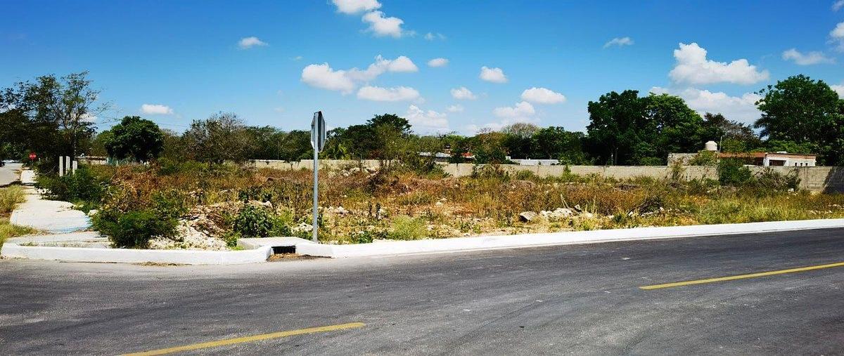 Foto de terreno habitacional en venta en  , el roble agrícola, mérida, yucatán, 0 No. 04