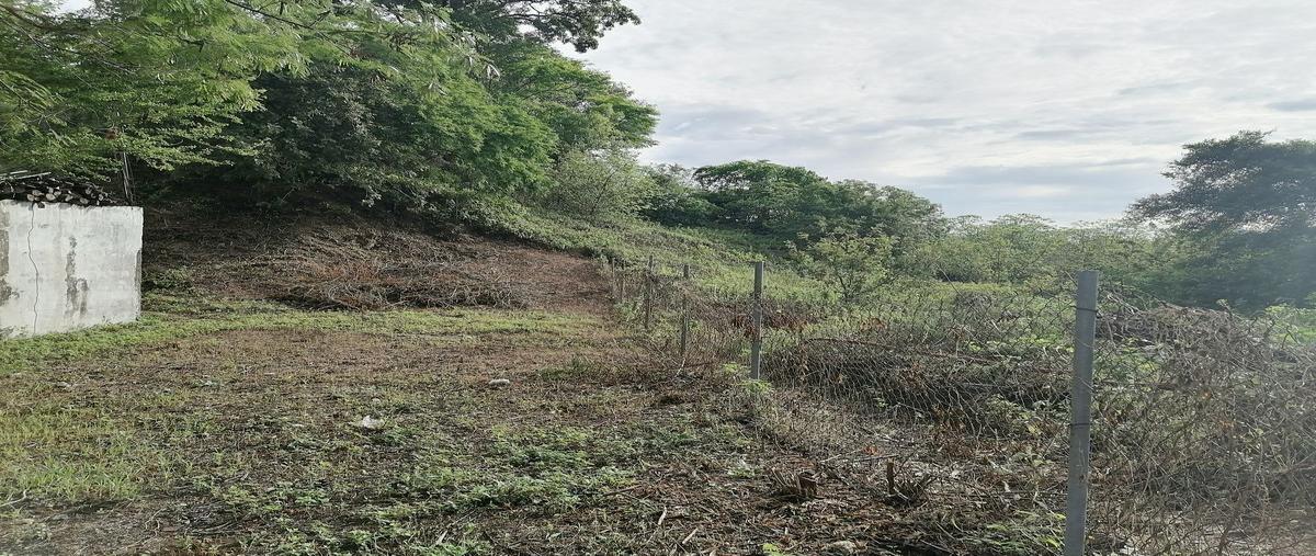 Foto de terreno habitacional en el roble , el porvenir, acapulco de juárez, guerrero, 25452606 foto 04 Foto de terreno habitacional en venta en el roble , el porvenir, acapulco de juárez, guerrero, 25452606 No. 04