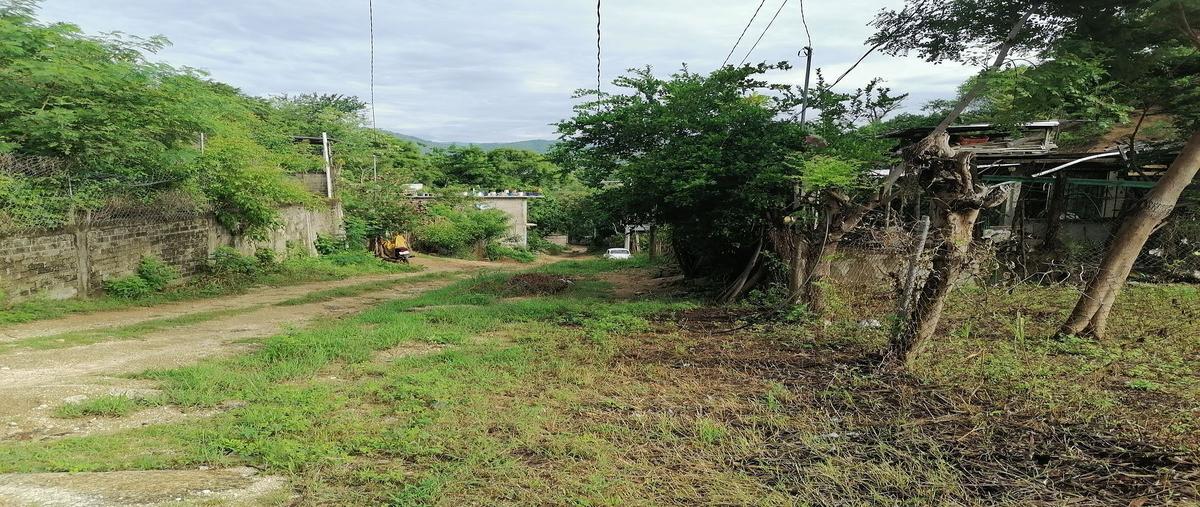 Foto de terreno habitacional en el roble , el porvenir, acapulco de juárez, guerrero, 25452606 foto 05 Foto de terreno habitacional en venta en el roble , el porvenir, acapulco de juárez, guerrero, 25452606 No. 05