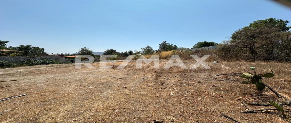 Foto de terreno habitacional en venta en el roble , huaxtla, el arenal, jalisco, 0 No. 04