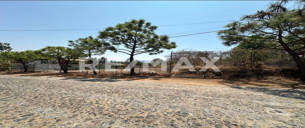 Foto de terreno habitacional en venta en el roble , huaxtla, el arenal, jalisco, 0 No. 05