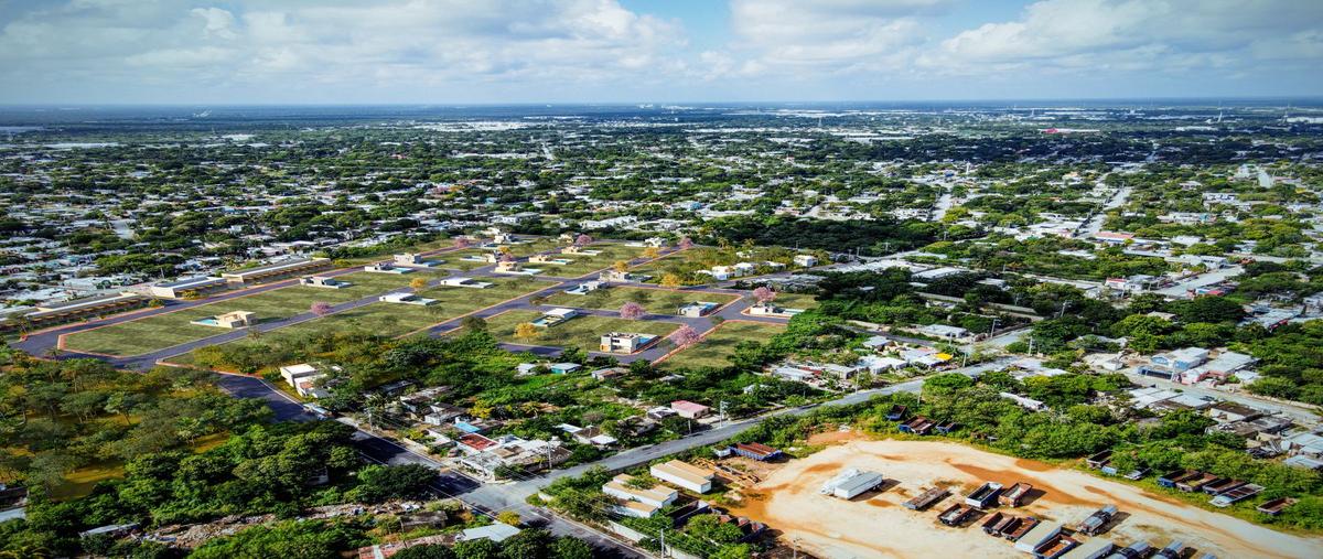 Foto de terreno habitacional en venta en  , el roble, mérida, yucatán, 29214160 No. 03