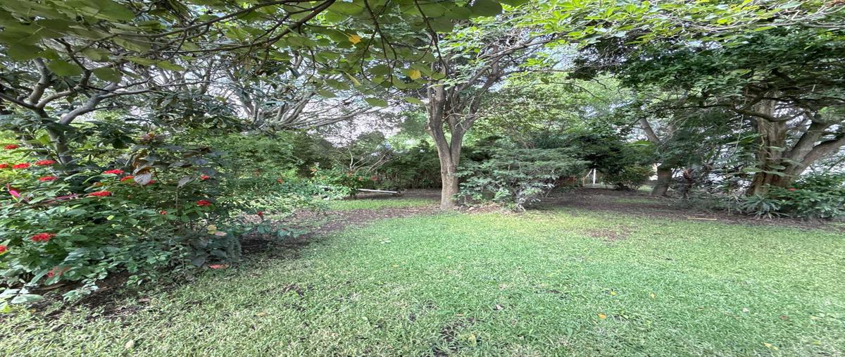 Foto de casa en el rocío , el rocio, yautepec, morelos, 30176152 foto 03 Foto de casa en venta en el rocío , el rocio, yautepec, morelos, 30176152 No. 03