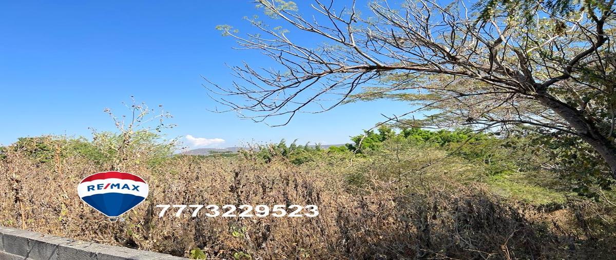Foto de terreno habitacional en el rodeo , el rodeo, miacatlán, morelos, 27354278 foto 04 Foto de terreno habitacional en venta en el rodeo , el rodeo, miacatlán, morelos, 27354278 No. 04