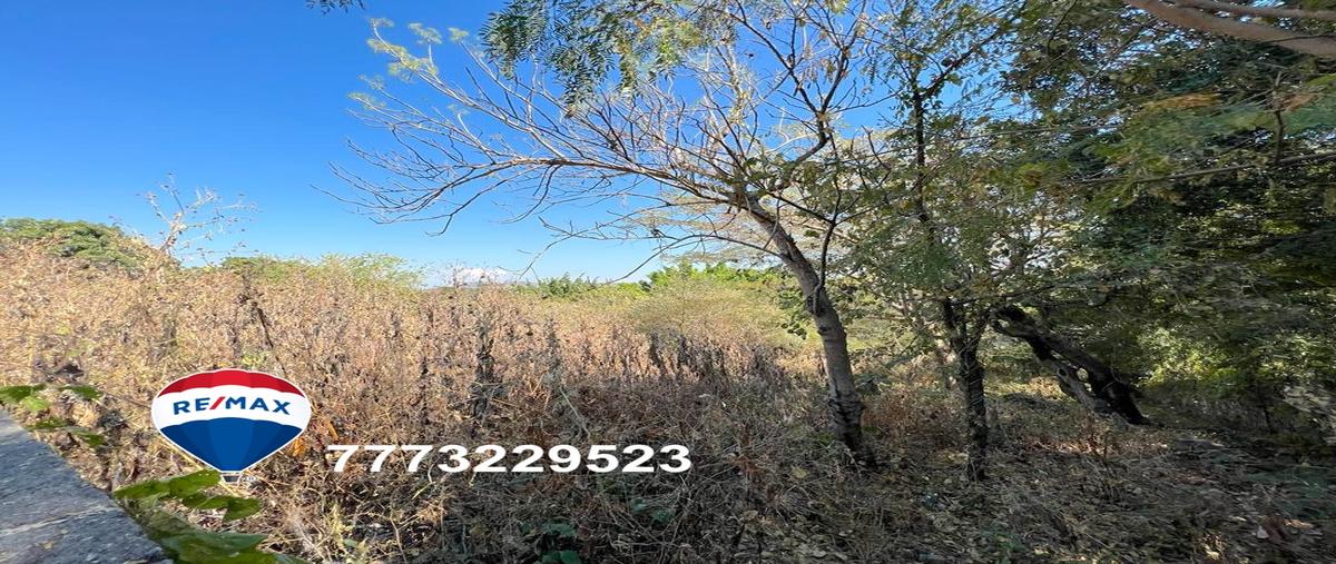 Foto de terreno habitacional en el rodeo , el rodeo, miacatlán, morelos, 27354278 foto 05 Foto de terreno habitacional en venta en el rodeo , el rodeo, miacatlán, morelos, 27354278 No. 05
