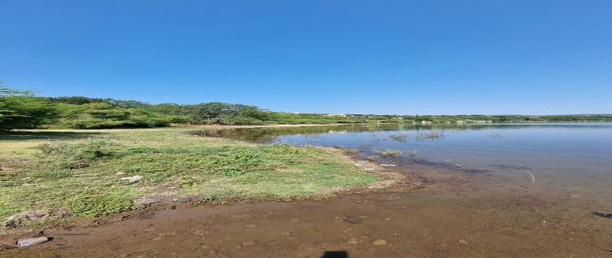 Foto de terreno habitacional en venta en  , el rodeo, miacatlán, morelos, 27544338 No. 04