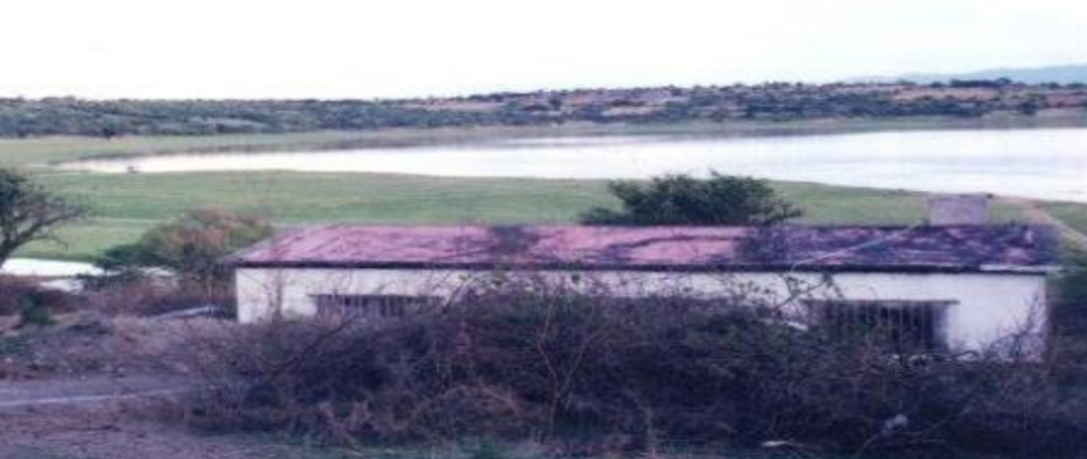 Foto de terreno habitacional en venta en  , el rodeo, miacatlán, morelos, 0 No. 03