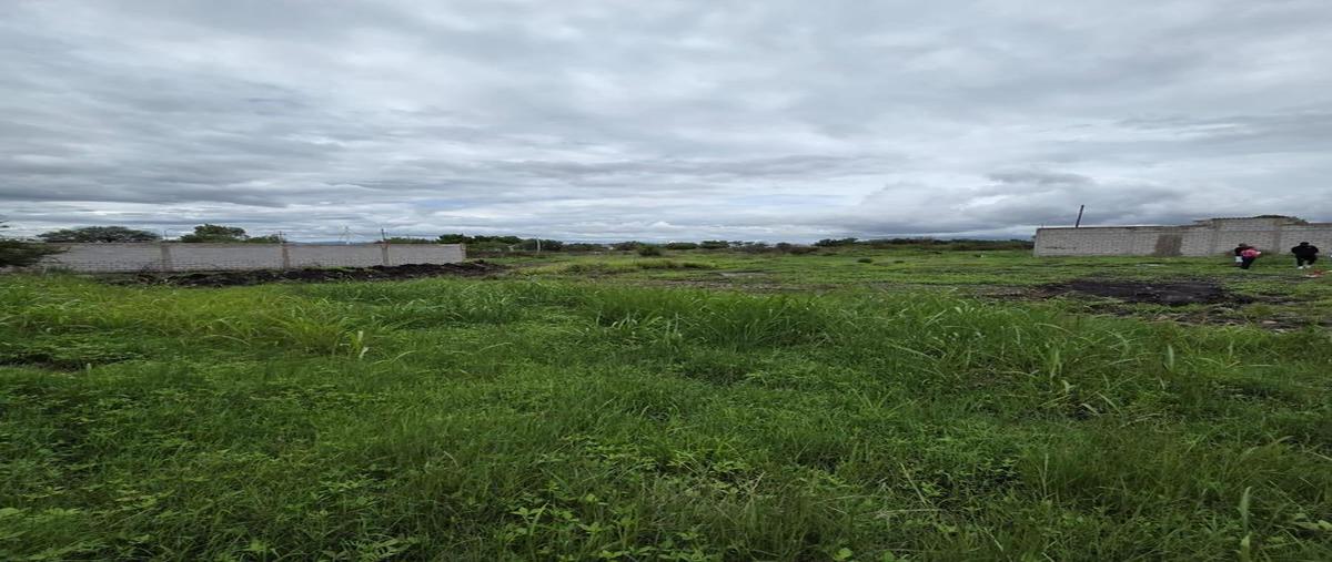 Foto de terreno habitacional en venta en  , el romeral, corregidora, querétaro, 30274394 No. 04
