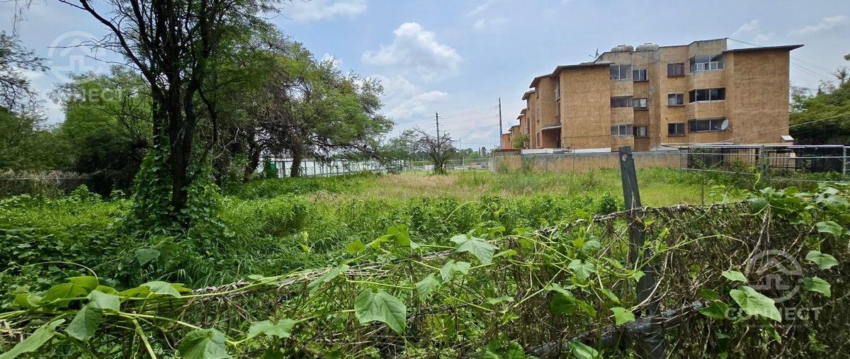 Foto de terreno habitacional en venta en  , el rosario, león, guanajuato, 30214741 No. 05