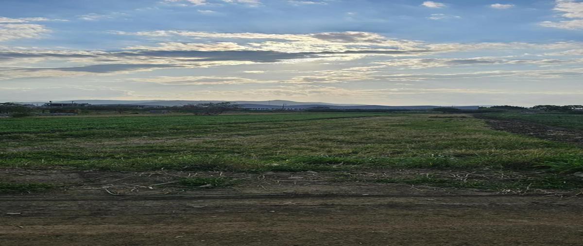 Foto de terreno habitacional en . , el rosario, oaxaca de juárez, oaxaca, 0 foto 01 Foto de terreno habitacional en venta en . , el rosario, oaxaca de juárez, oaxaca, 0 No. 01