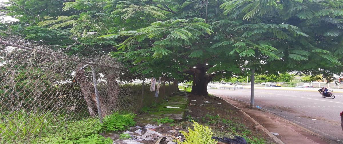 Foto de terreno habitacional en venta en  , el rubí, tepic, nayarit, 25191304 No. 03