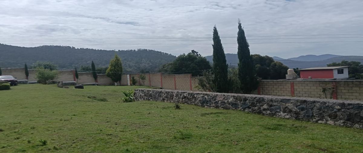 Foto de terreno habitacional en venta en  , el sabinal, tlaxco, tlaxcala, 30266548 No. 03