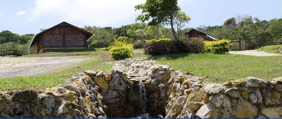 Foto de terreno habitacional en , el sabino, berriozábal, chiapas, 29884447 foto 03 Foto de terreno habitacional en venta en , el sabino, berriozábal, chiapas, 29884447 No. 03