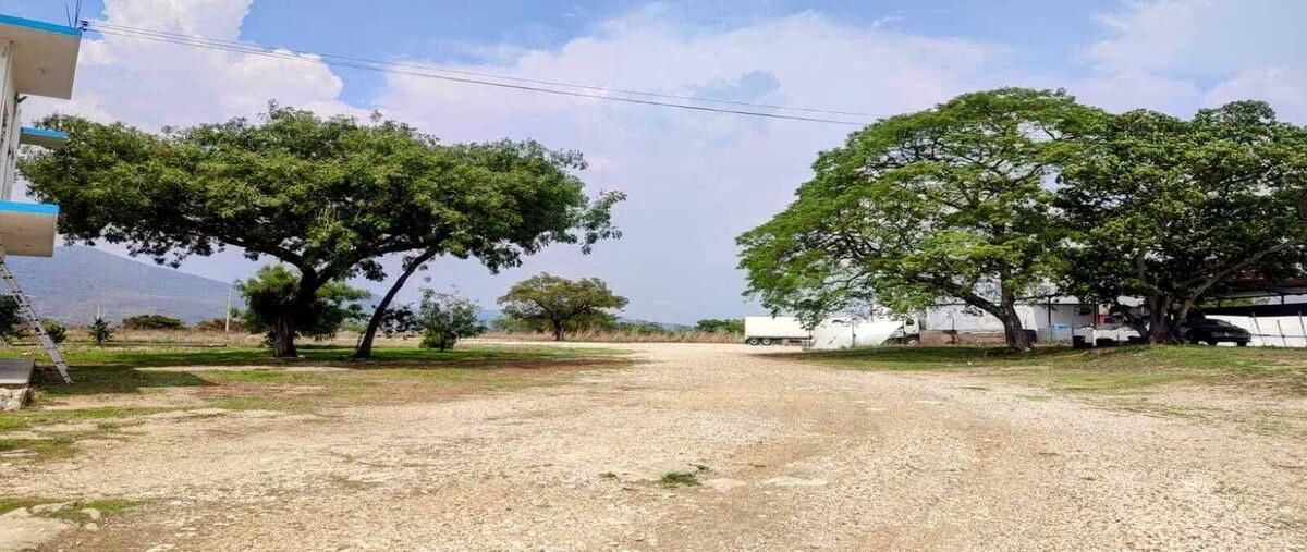 Foto de terreno habitacional en venta en  , el sabino, berriozábal, chiapas, 0 No. 03