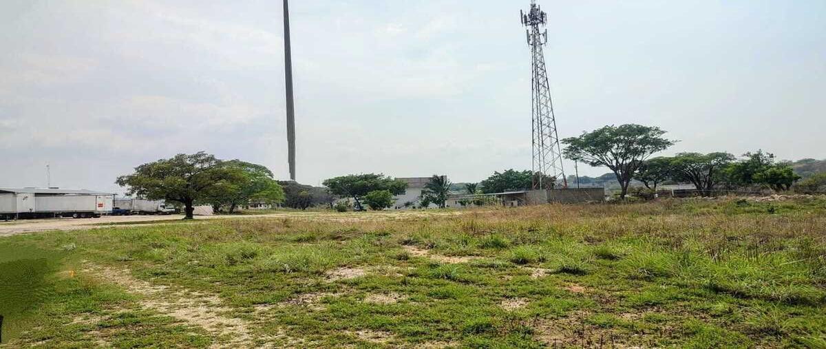 Foto de terreno habitacional en venta en  , el sabino, berriozábal, chiapas, 0 No. 04