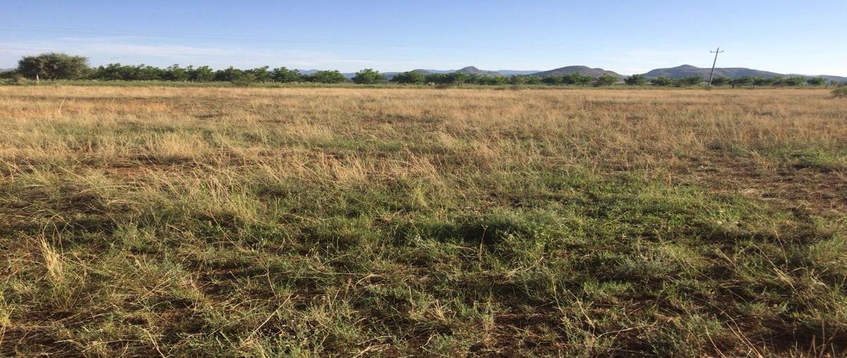 Foto de terreno habitacional en venta en  , el sacramento, chihuahua, chihuahua, 13455610 No. 04