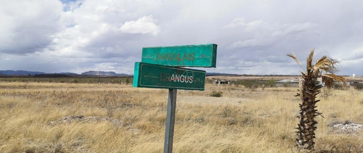 Foto de terreno habitacional en venta en  , el sacramento, chihuahua, chihuahua, 27888983 No. 05