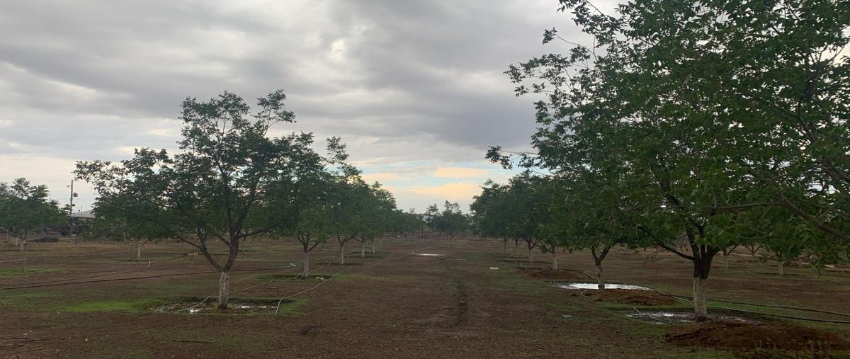 Foto de rancho en venta en  , el sacramento, chihuahua, chihuahua, 0 No. 03
