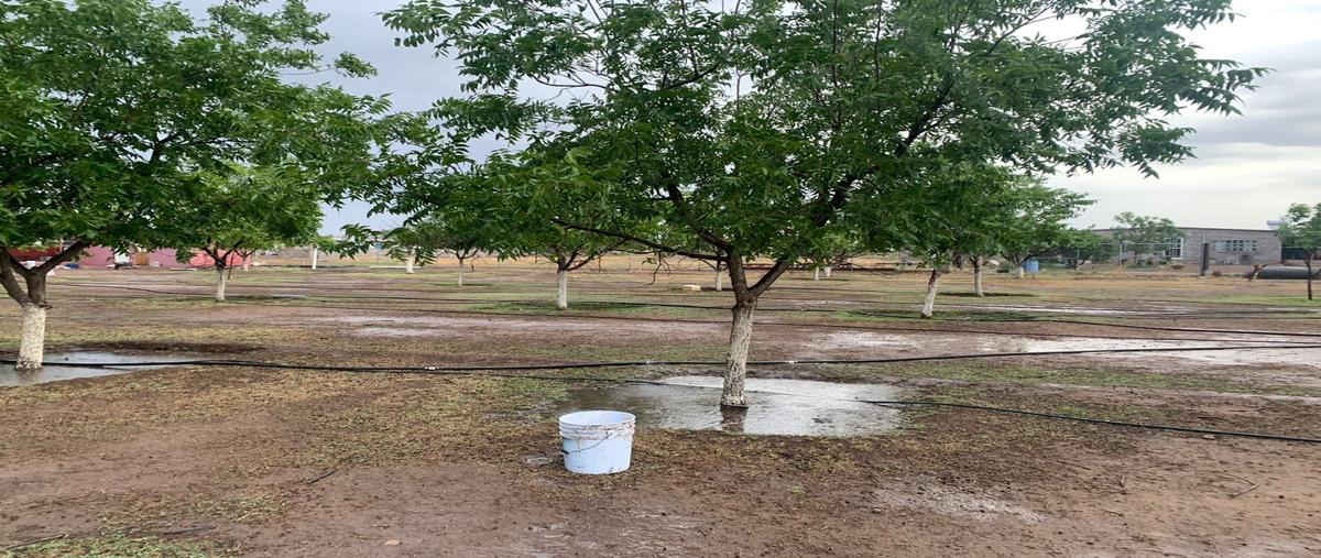 Foto de rancho en venta en  , el sacramento, chihuahua, chihuahua, 0 No. 04