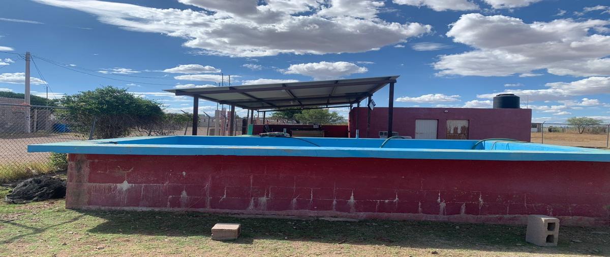 Foto de rancho en venta en  , el sacramento, chihuahua, chihuahua, 0 No. 05