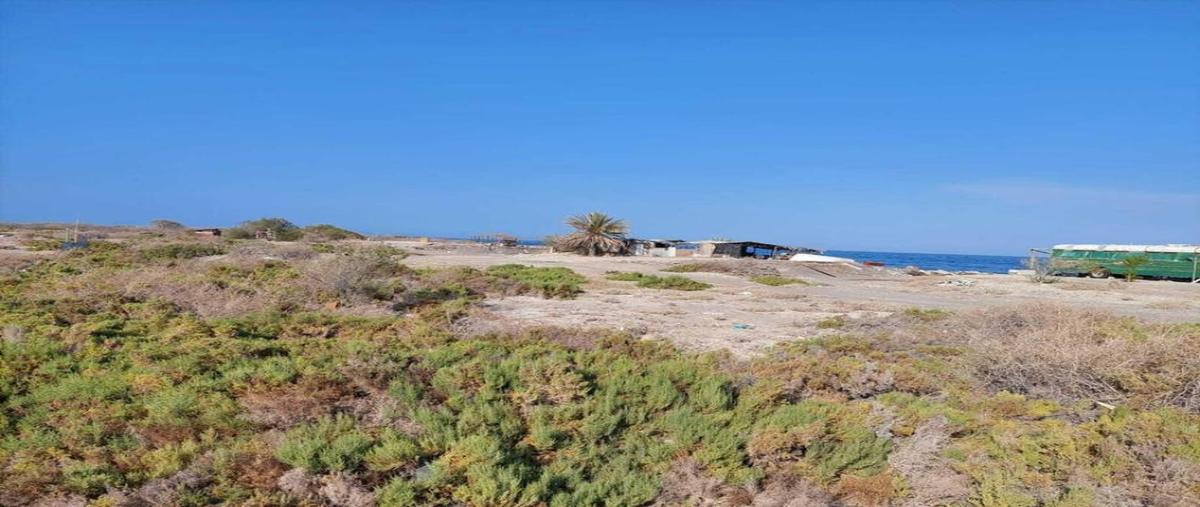 Foto de terreno habitacional en venta en el saladito lote 1, san juan de la costa, la paz, baja california sur, 0 No. 03
