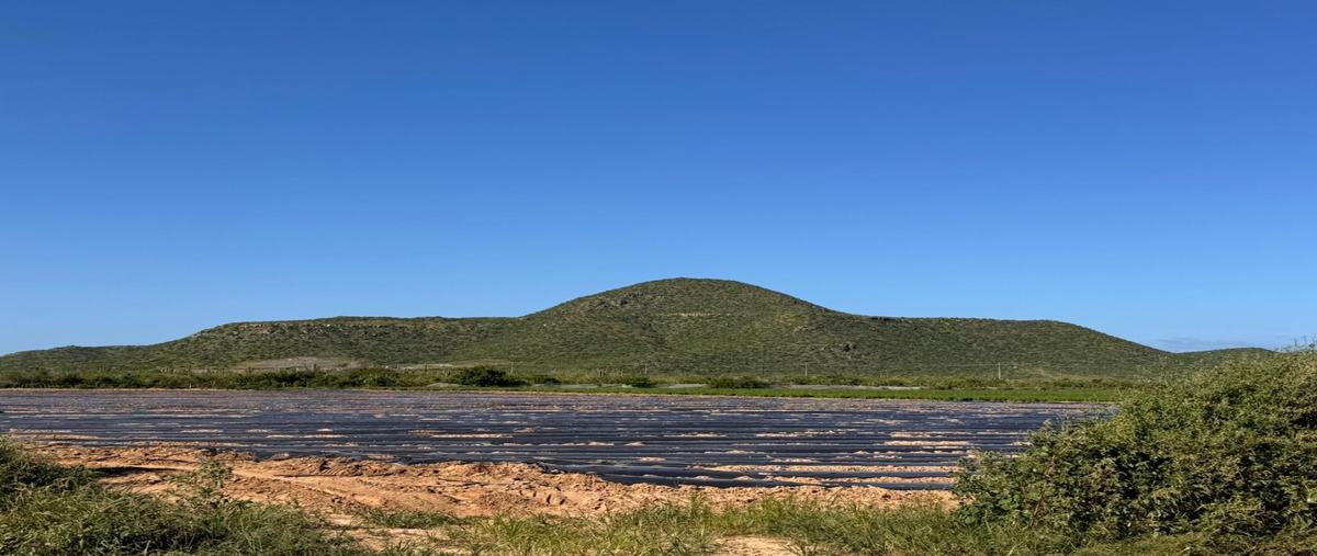 Foto de terreno habitacional en venta en  , el salado, la paz, baja california sur, 0 No. 03