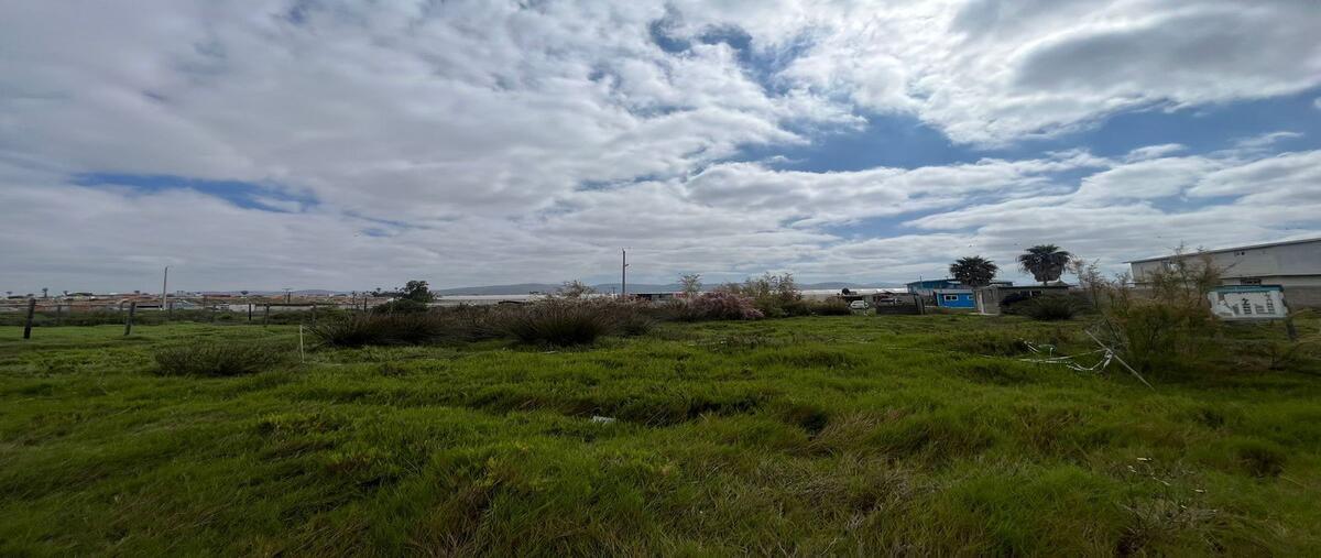 Foto de terreno habitacional en venta en  , el salitral, ensenada, baja california, 28134259 No. 04