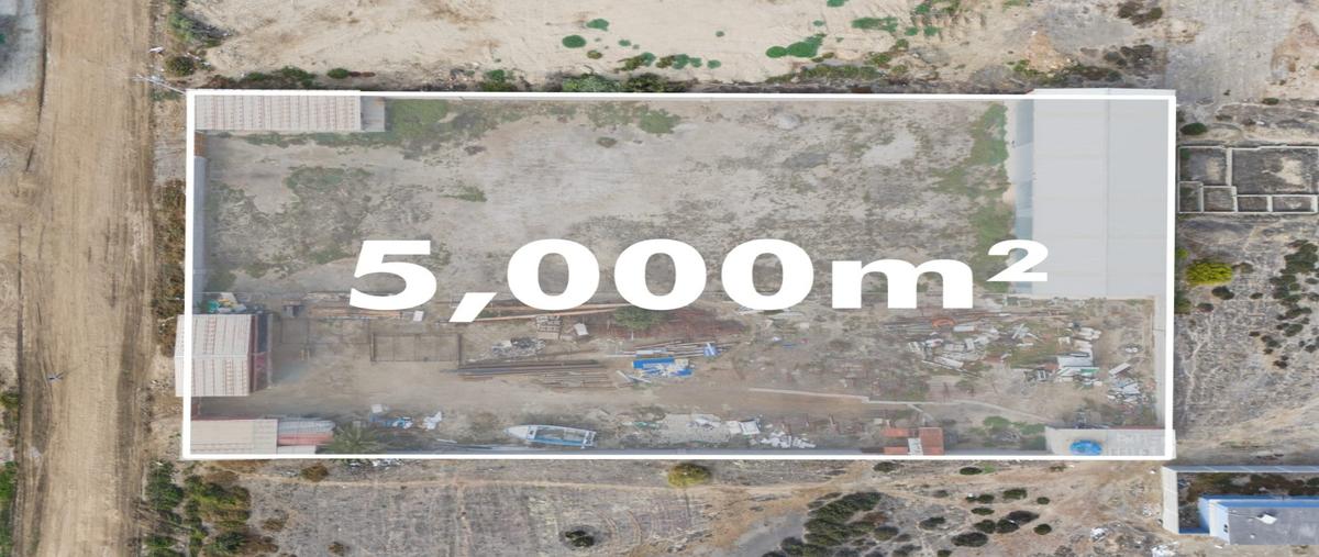 Foto de bodega en venta en  , el salitral, ensenada, baja california, 0 No. 03