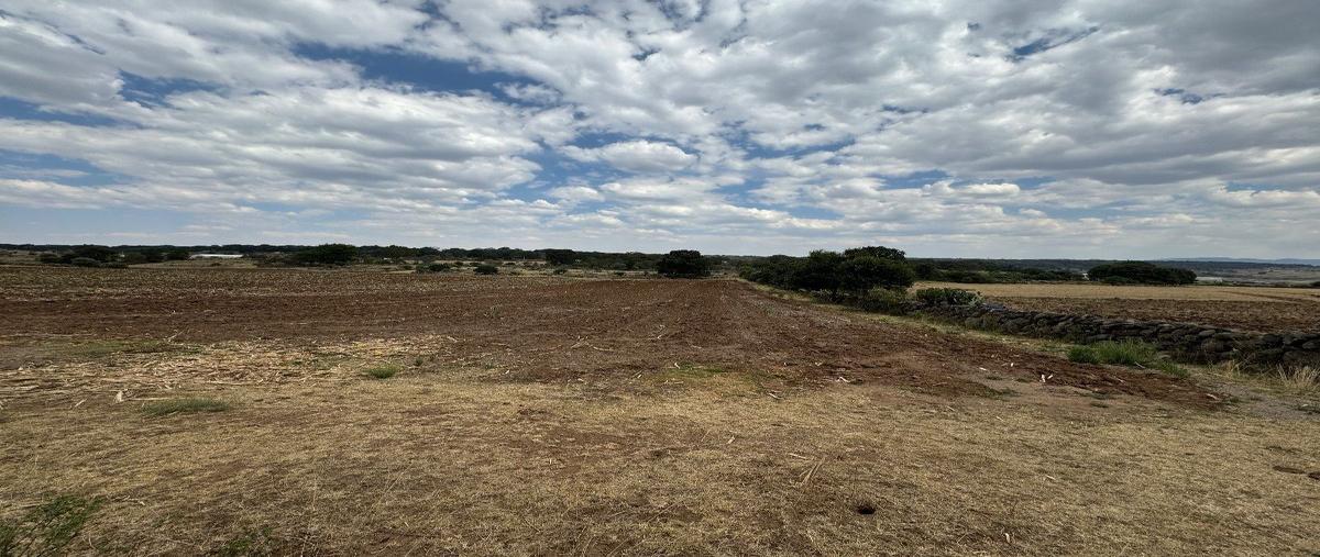 Foto de terreno habitacional en venta en  , el saltillo, jilotepec, méxico, 28083845 No. 03