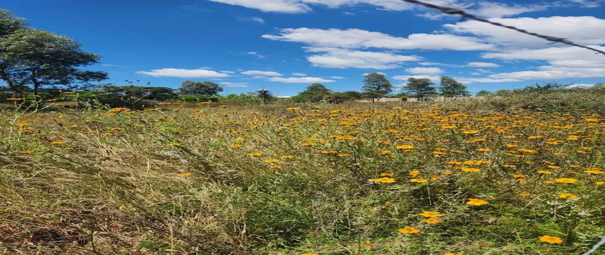 Foto de terreno habitacional en venta en  , el saltito, san miguel de allende, guanajuato, 30575355 No. 03